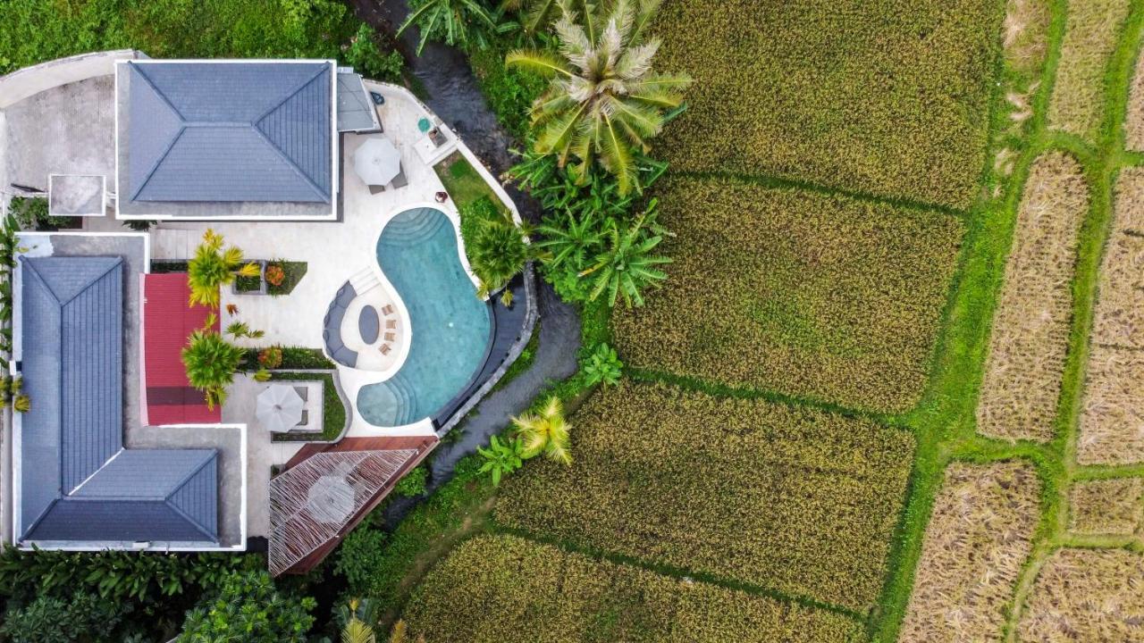 Coconut Grove Villa By Betterplace Ubud Extérieur photo